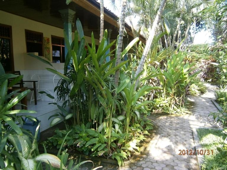 Guest house Adus
