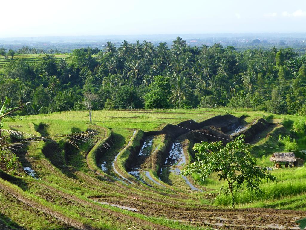 West Bali Villas-umasari Guest house 3*