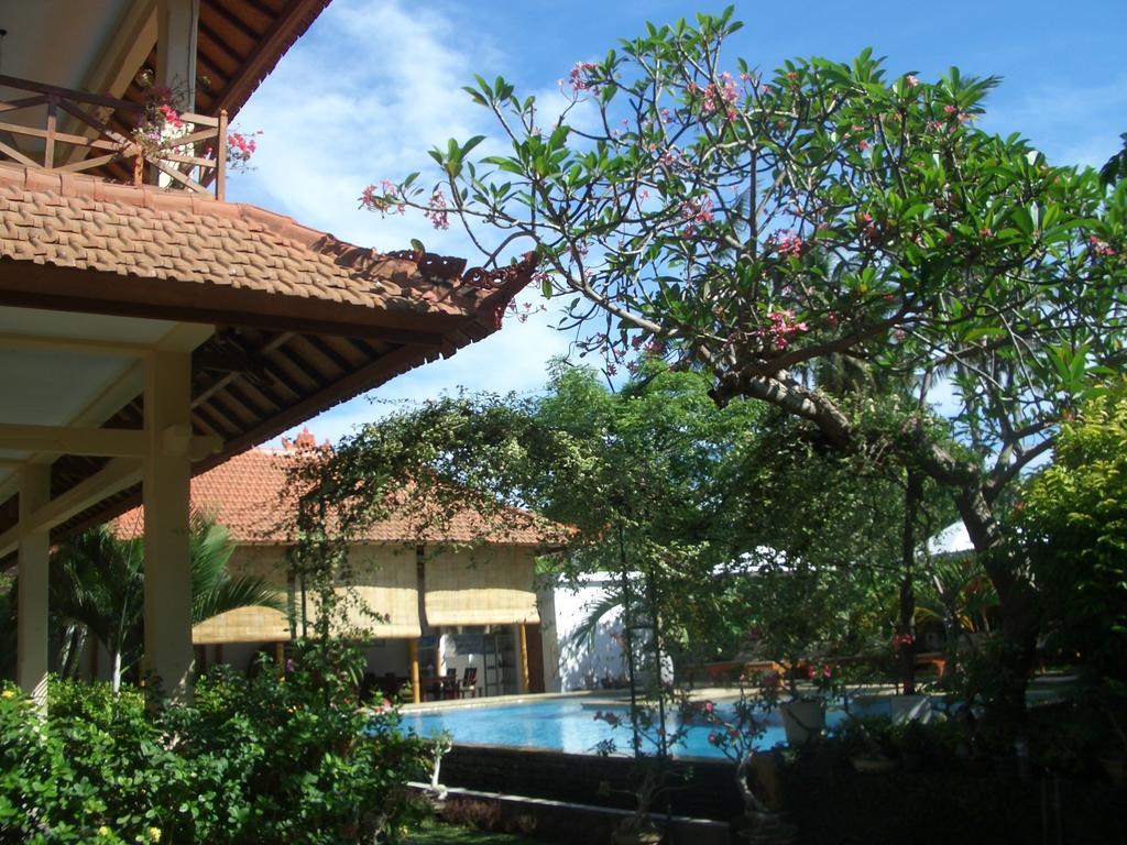 Jaya Lovina (Bali)