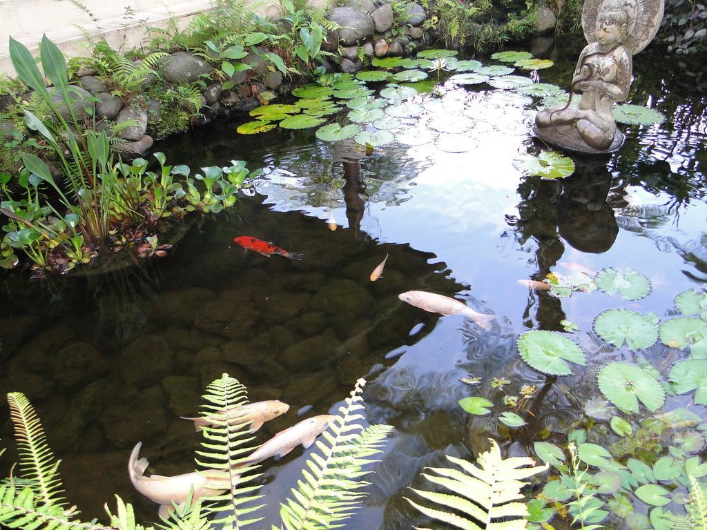 Heaven In Bali * Penginyahan