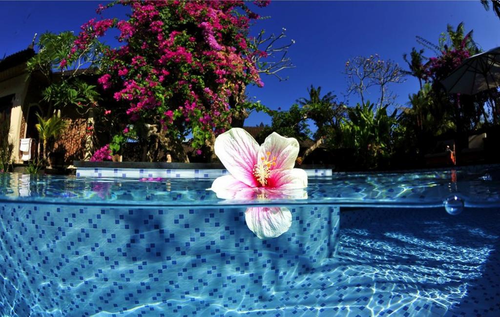 Tirta Ening Agung Guest house Sanur (Bali)