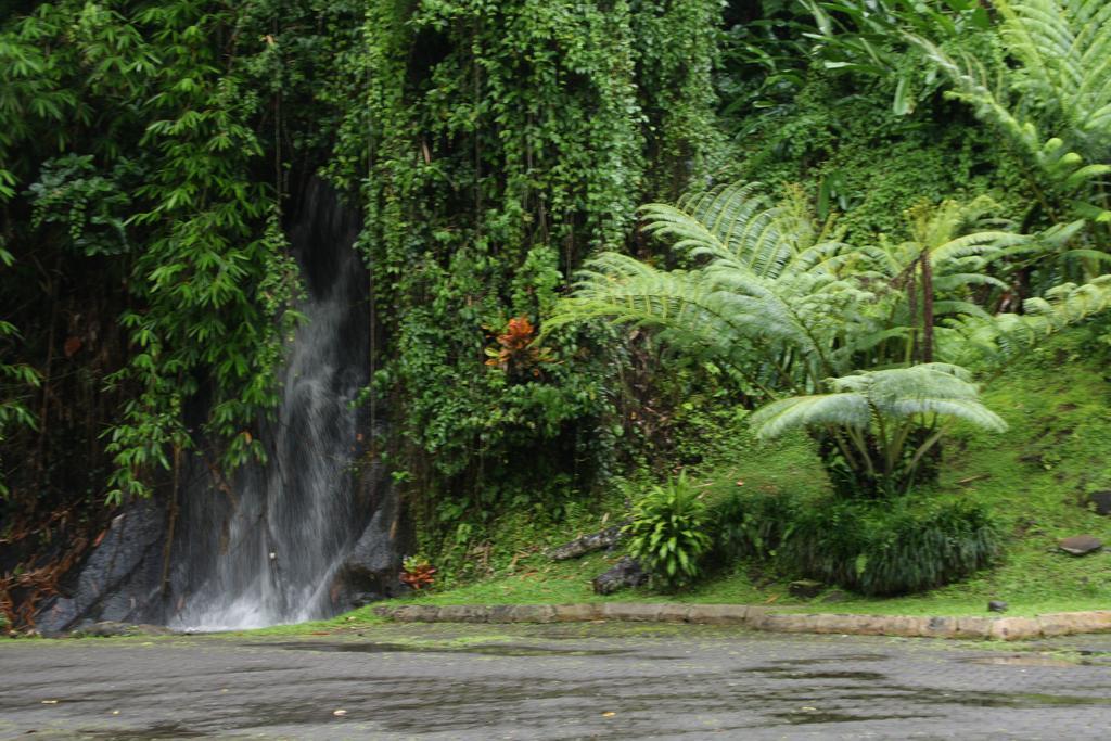 Yeh Panes Hot Spring Holiday park Penebel