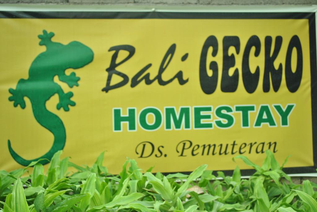 Bali Gecko Homestay Pemuteran (Bali)