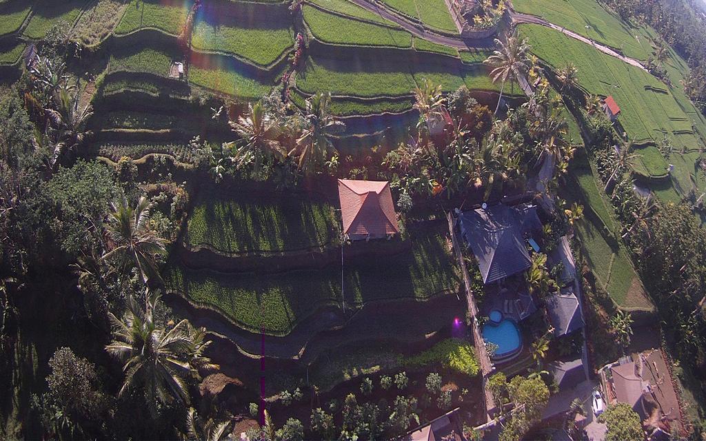 Sebatu Villa Tegallalang (Bali)