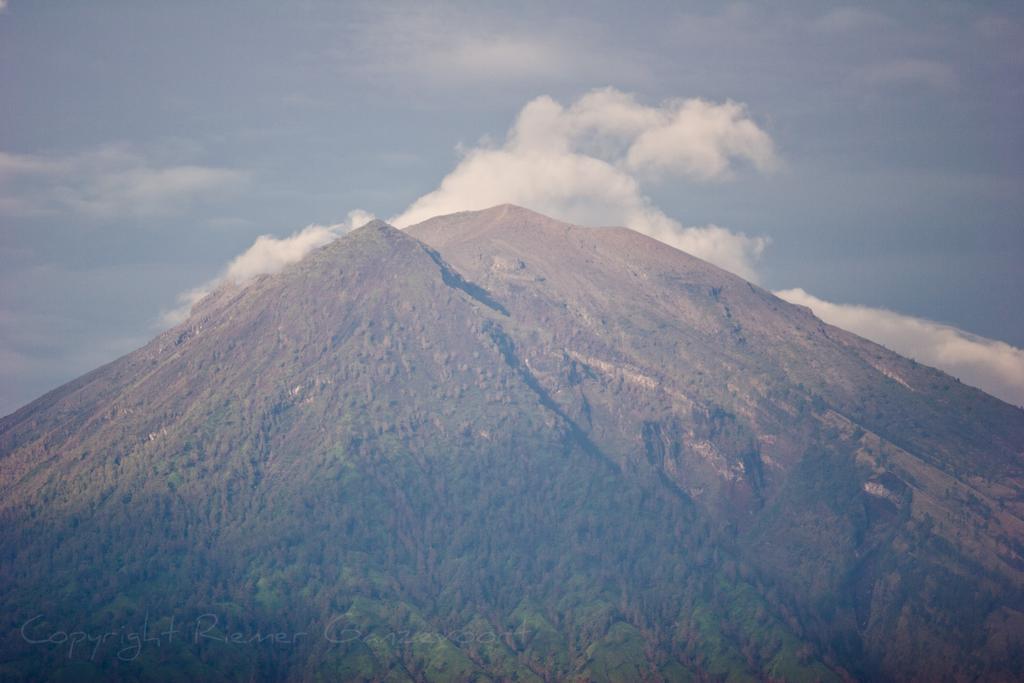 Alur Homestay Amed (Bali)