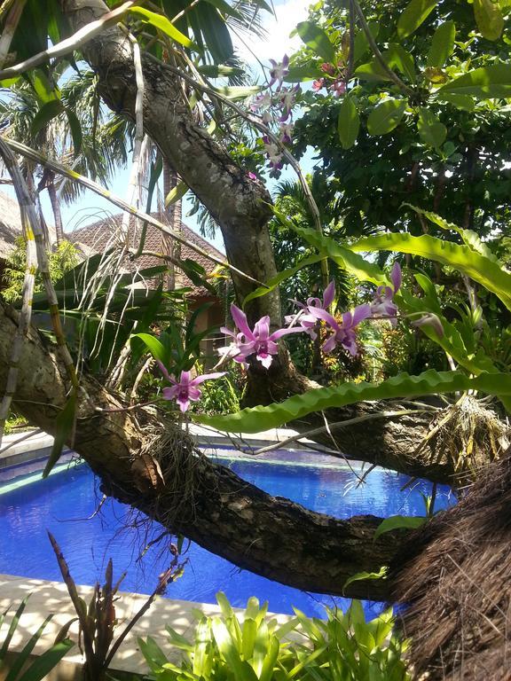 Beach Villas Guest house