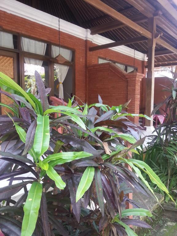 Guest house Beach Villas