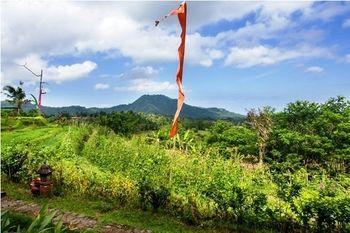 Guest house Subak Tabola 3*