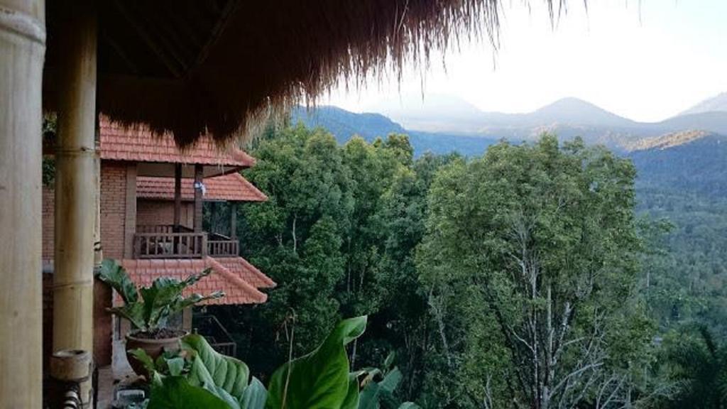 Don Biyu Munduk (Bali)
