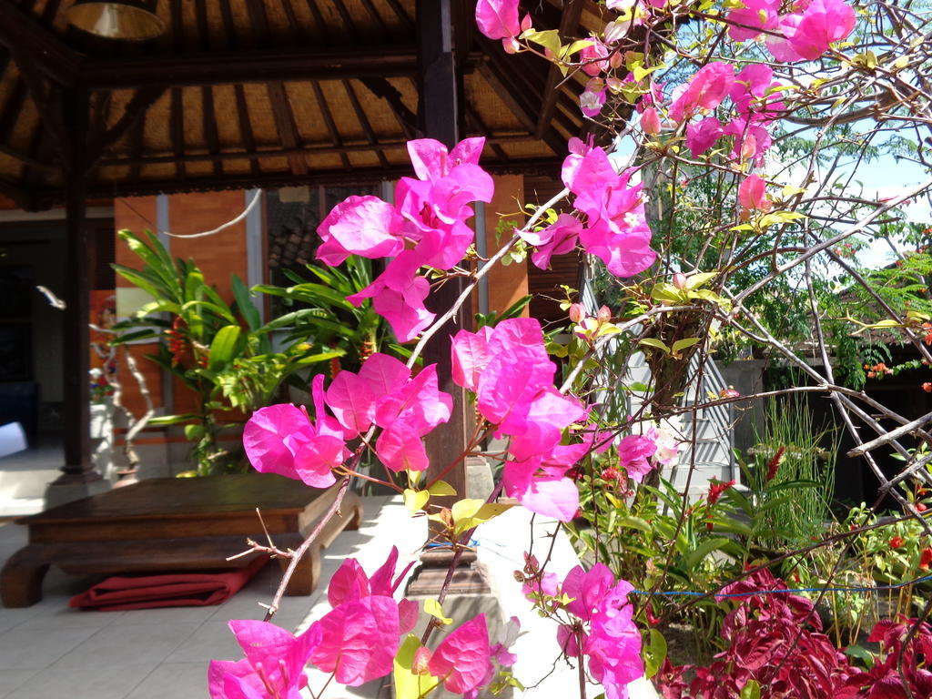 Tagel Karsa House