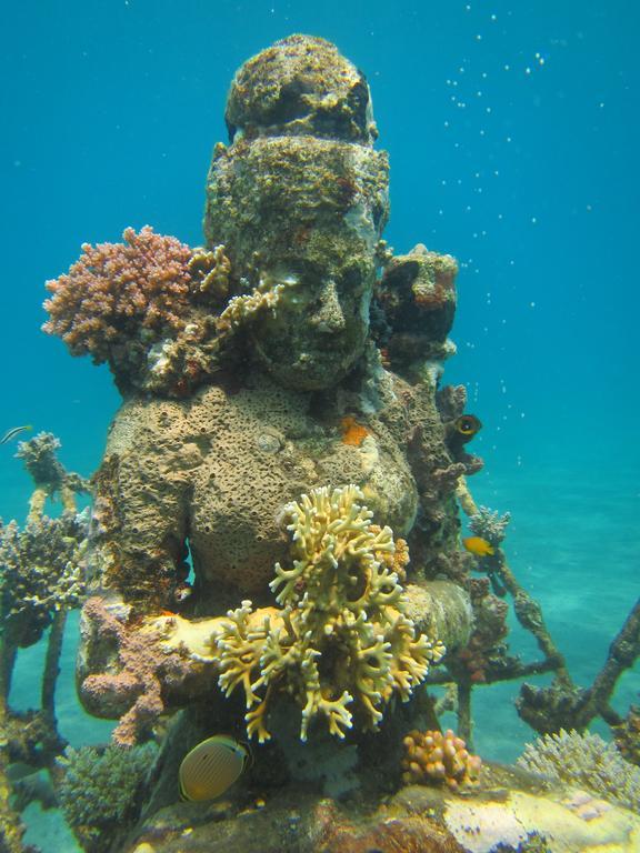 Biorock & Dive Center