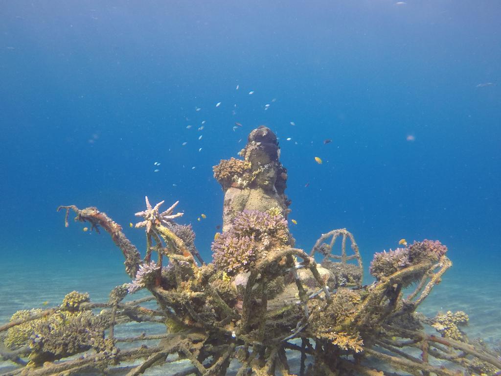 Biorock & Dive Center Pemuteran (Bali)