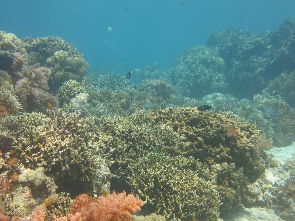 Guest house Pande