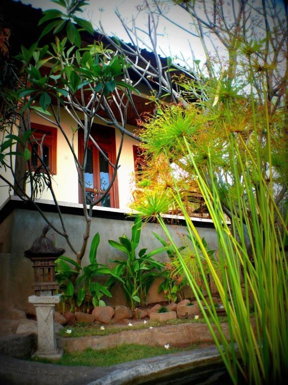 Taman liburan Bo's Bungalows And Restaurant