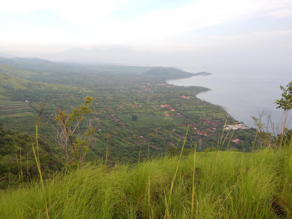 Bali Gecko Pemuteran (Bali)