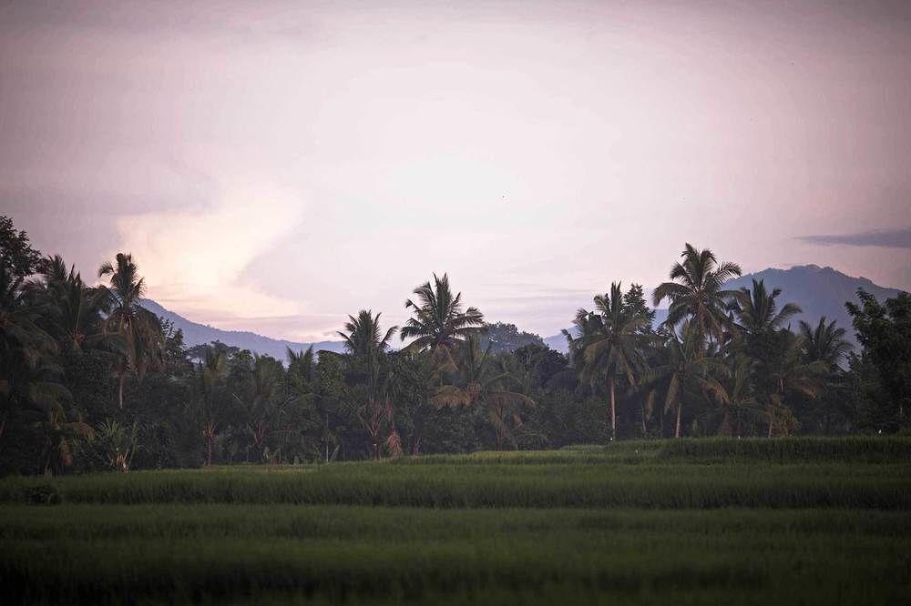 Amarta Retreat By Nakula 4* Tabanan (Bali)