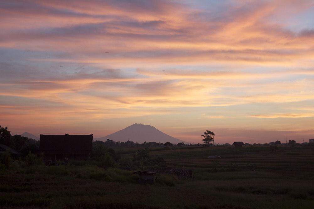 Oasis Bali 3* Canggu (Bali)
