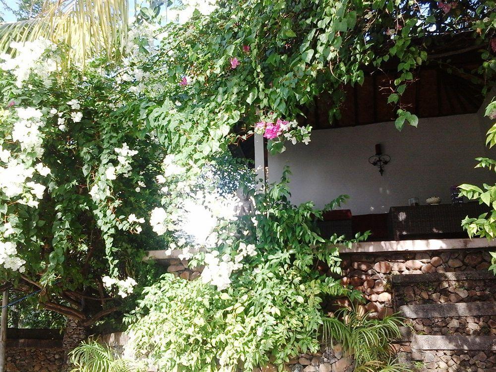 Baliku Dive Holiday park
