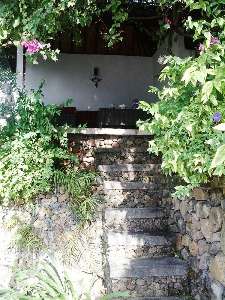 Baliku Dive Holiday park Amed (Bali)