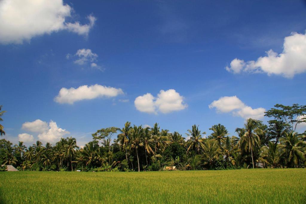 Junjungan And Guest house