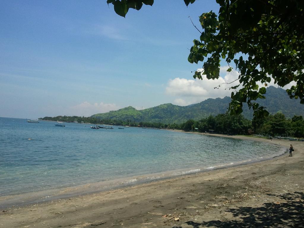 Homestay Biorock & Dive Center