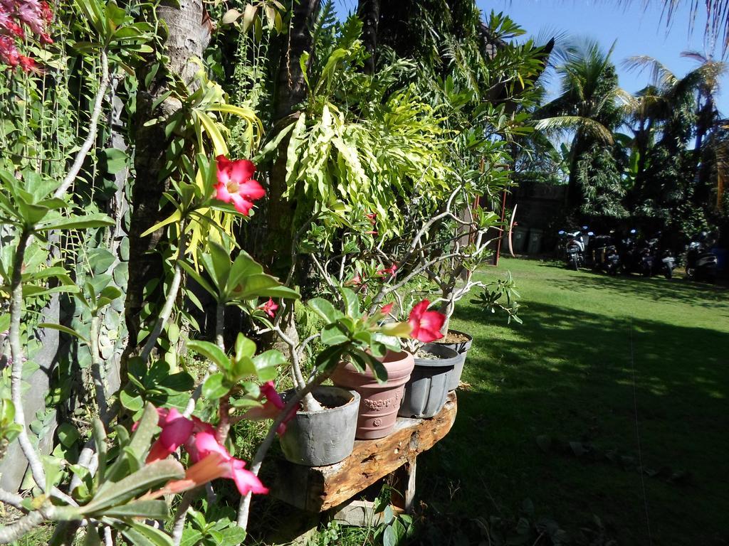 Guest house Bali Aman Darling House 3*