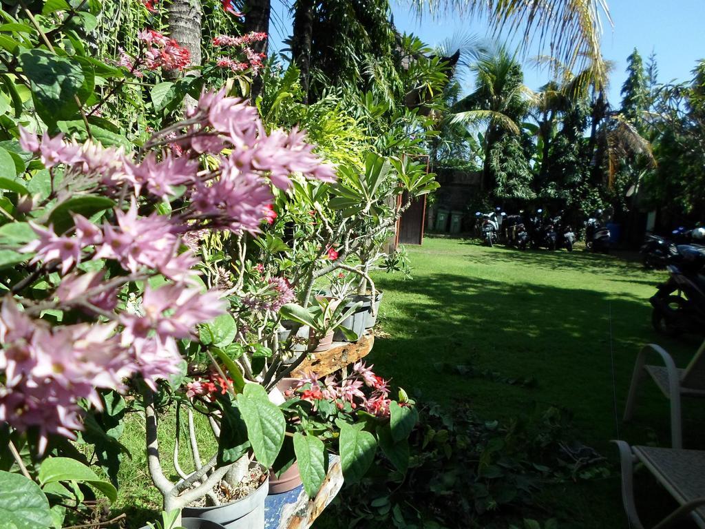 Guest house Bali Aman Darling House Canggu (Bali)