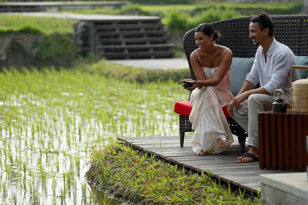 Resort Alaya