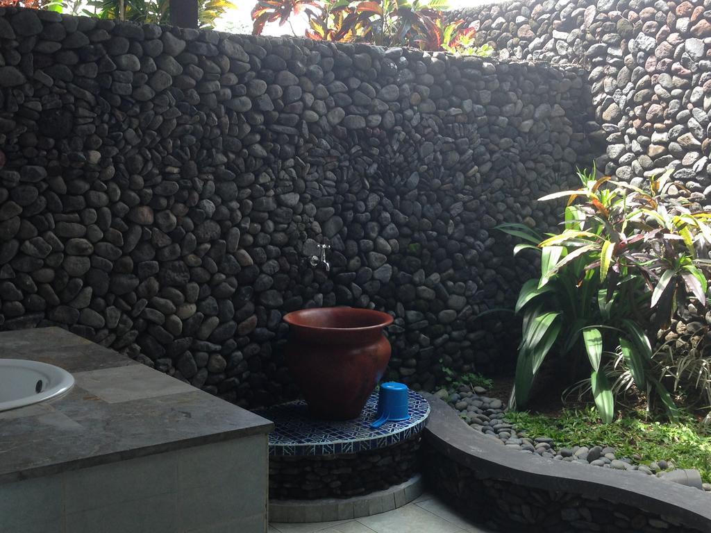 Nirarta Center For Living Awareness Guest house Sidemen (Bali)