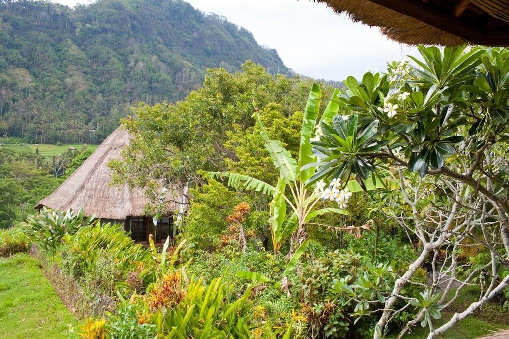 Guest house Nirarta Center For Living Awareness Sidemen (Bali)