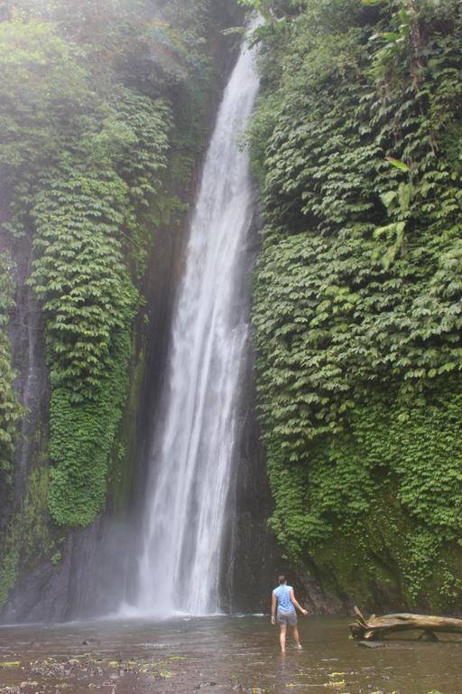 Homestay Edy Munduk (Bali)