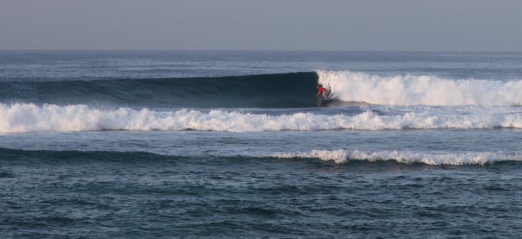 Paz Bali *