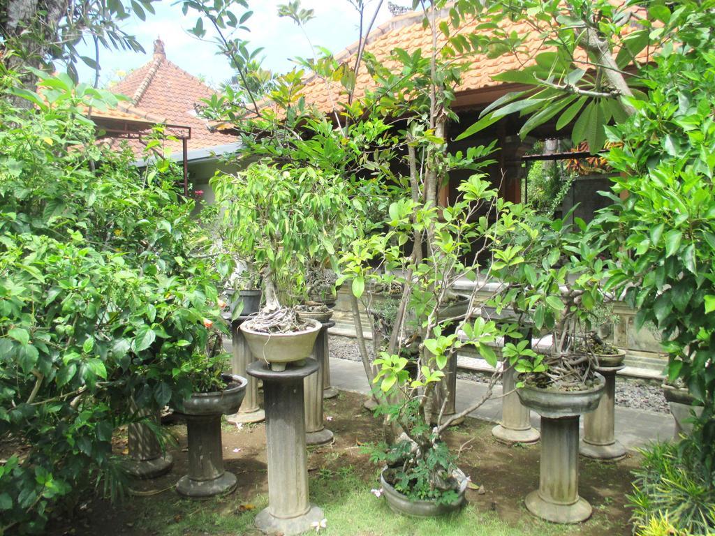 Mona * Sanur (Bali)