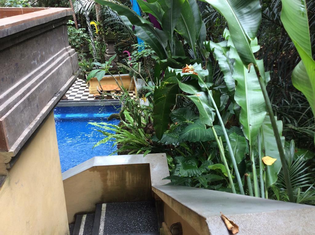 Bembengan Guest house Ubud (Bali)