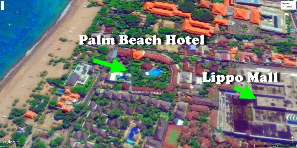 Palm Bali