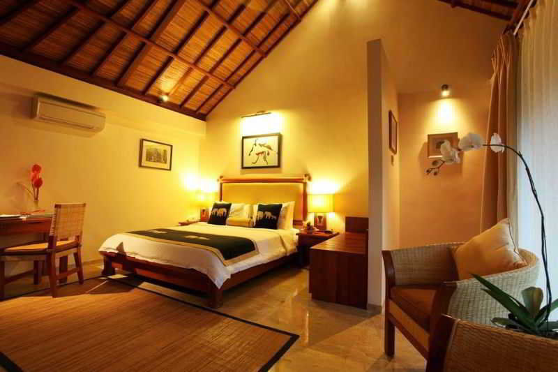 Mason Elephant 5*