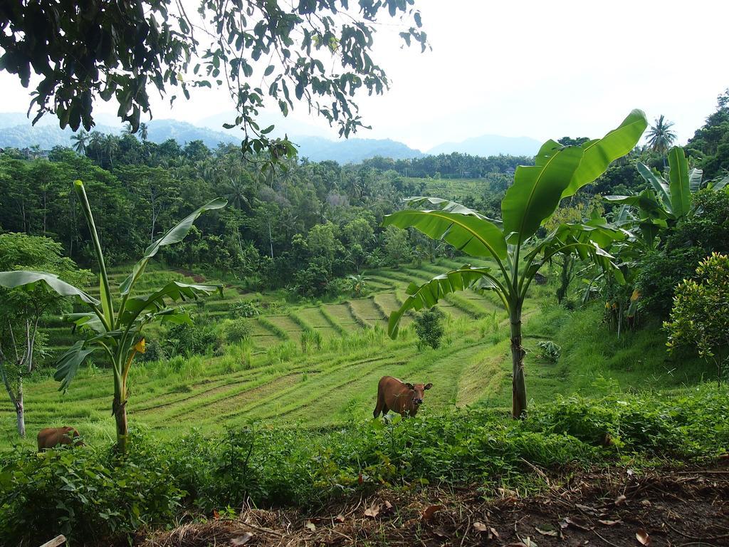 West Bali Villas-umasari Guest house