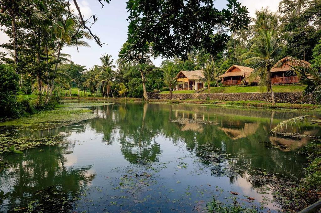 Wisma tamu Alam Taman 2*