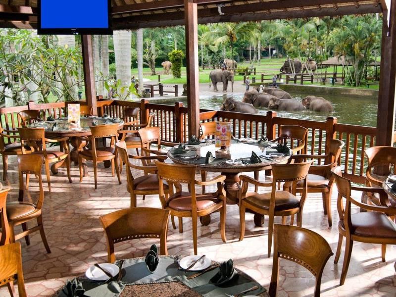 Mason Elephant 5* Ubud (Bali)
