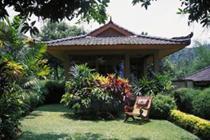 Hotel Damai Lovina 4*