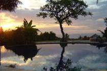 Damai Lovina Hotel
