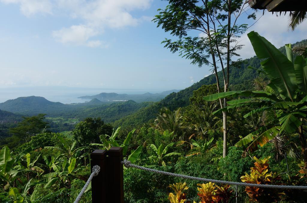 Manggis Garden Dive Candi Dasa (Bali)