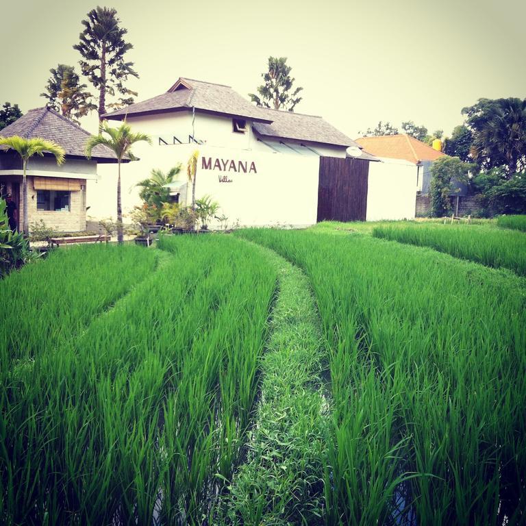 Mayana Canggu (Bali)