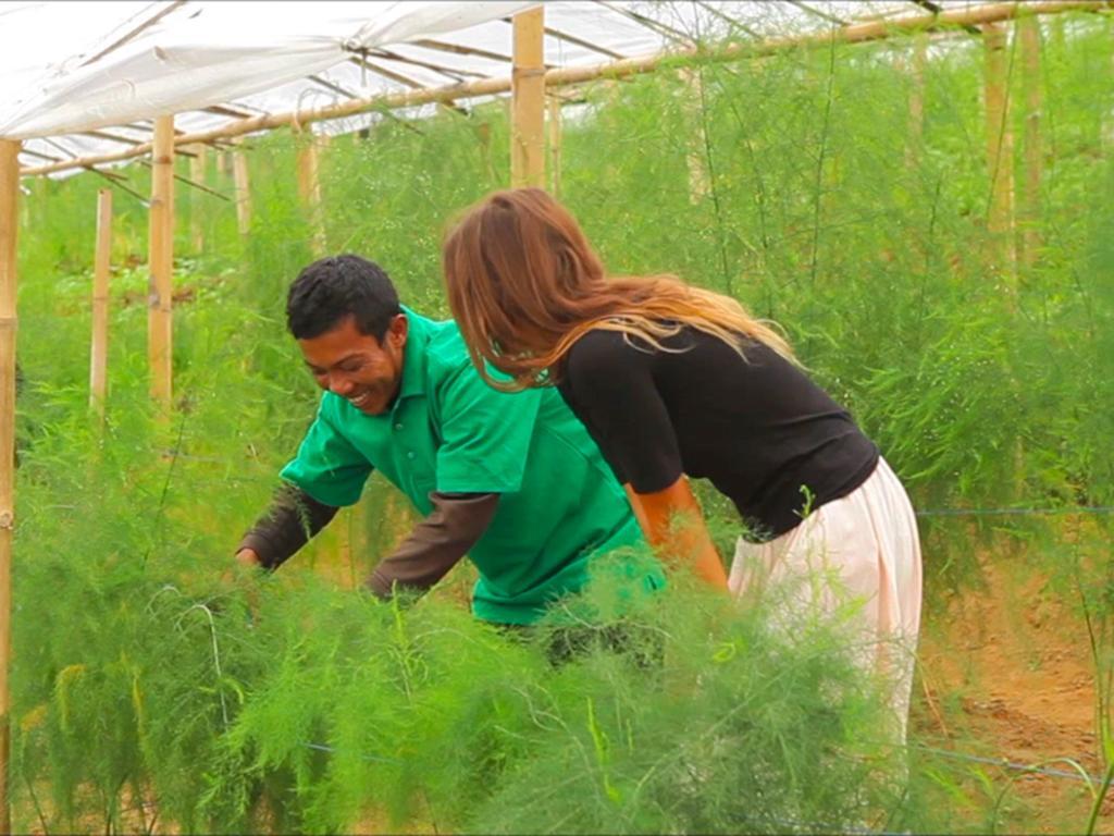 Resor Bagus Agro Pelaga Plaga