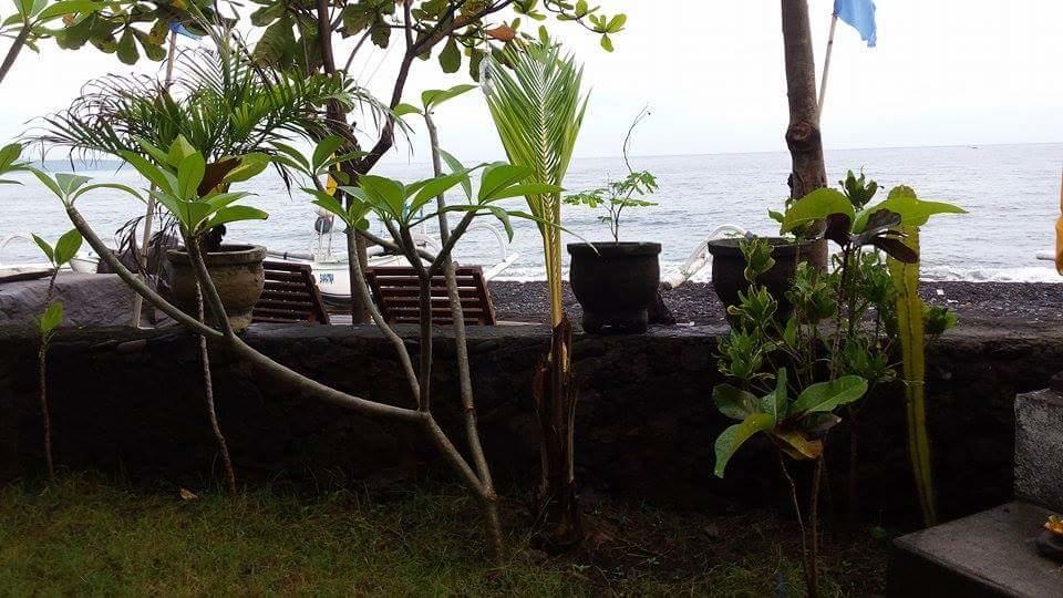 Alur * Amed (Bali)