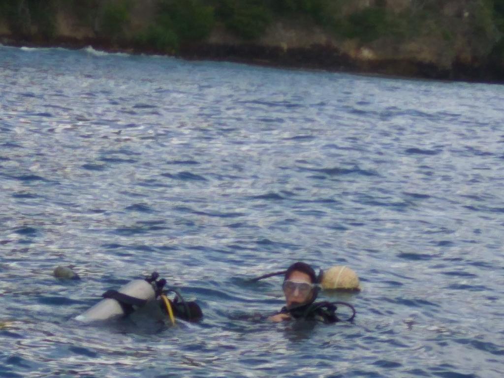 Manggis Garden Dive Candi Dasa (Bali)