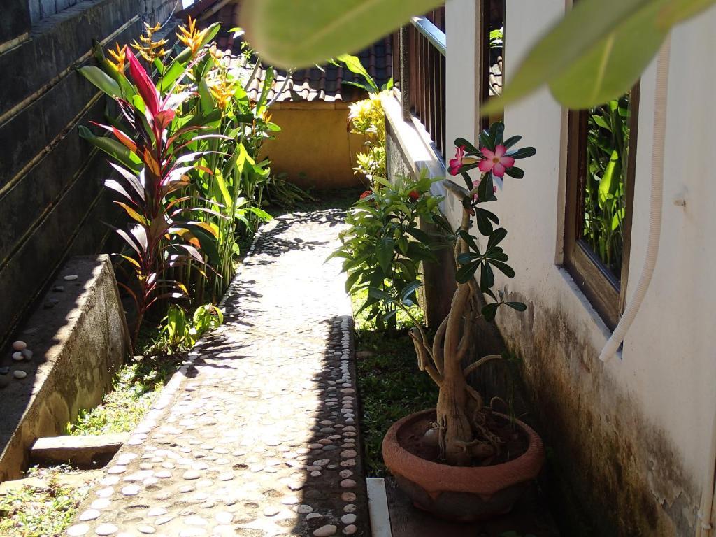 Homestay Titi Sedana