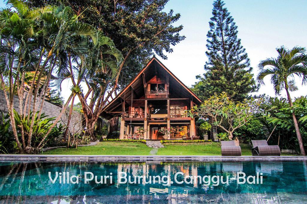 Puri Burung Villa Canggu (Bali)