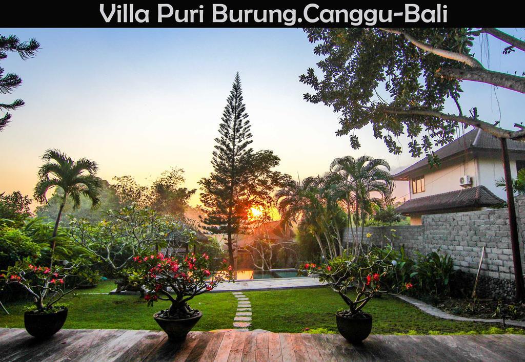 Puri Burung Canggu (Bali)
