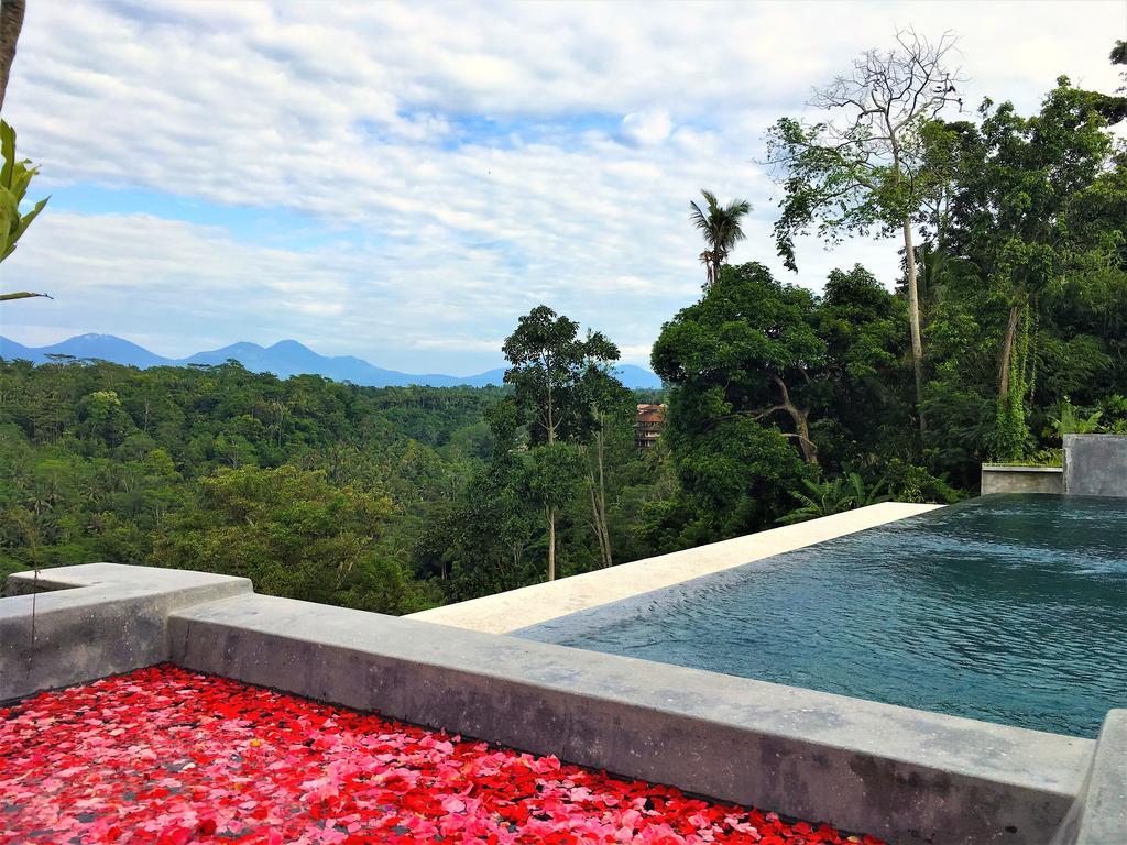 Ayuterra Villa Ubud (Bali)